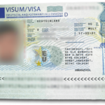 How to Get a Visa to Germany from the USA